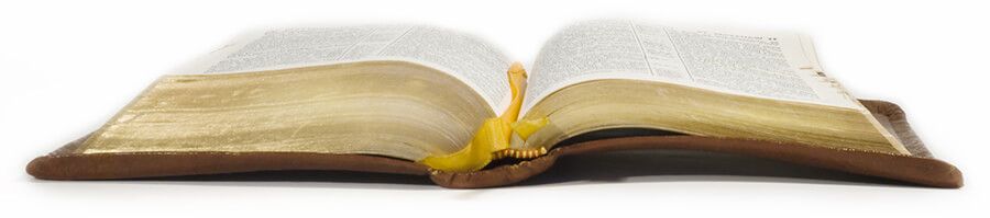 Open Bible